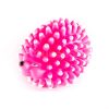 Kvalitná gumená hračka pre psa ježko pichliače ružový
