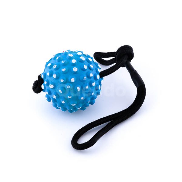 Zábavná psia hračka lano lopta pichliače modrá
