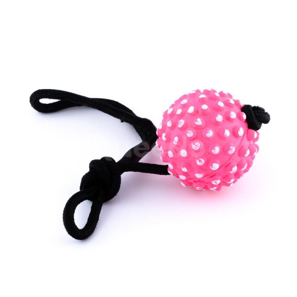 Zábavná hračka pre psa lopta na lane pichliače ružová
