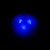 Praktický a kvalitný svietiaci prívesok pre mačku v tme modrý Queedo