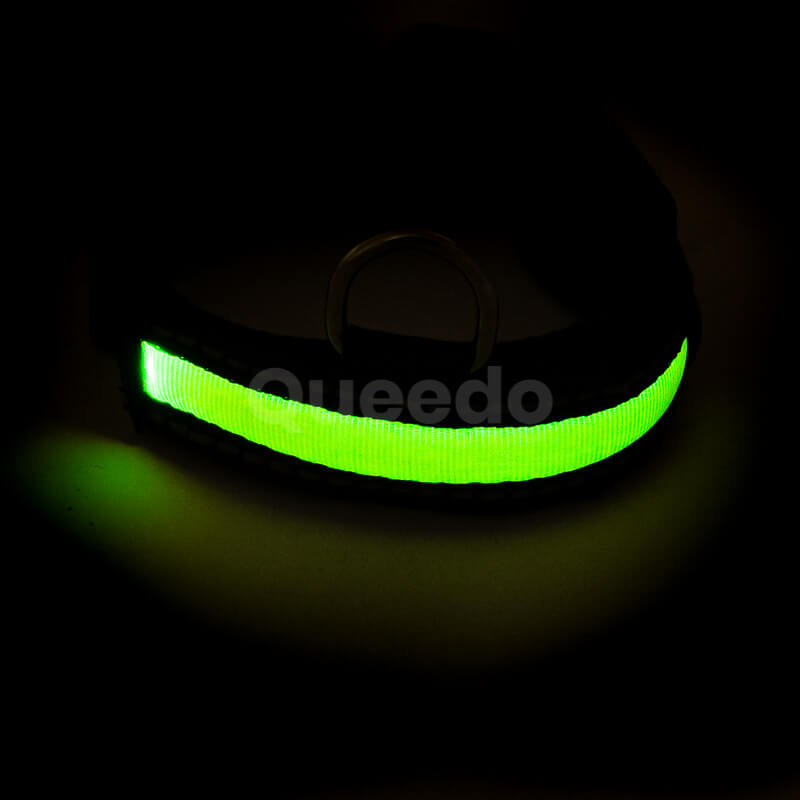 Svietiaci obojok pre psov LED nabíjací zelený Queedo