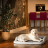 Bledosivo-čierny ortopedický matrac pre psa Medico-Ekolen 1